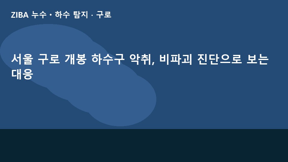 서울 구로 개봉 하수구 악취, 비파괴 진단으로 보는 대응