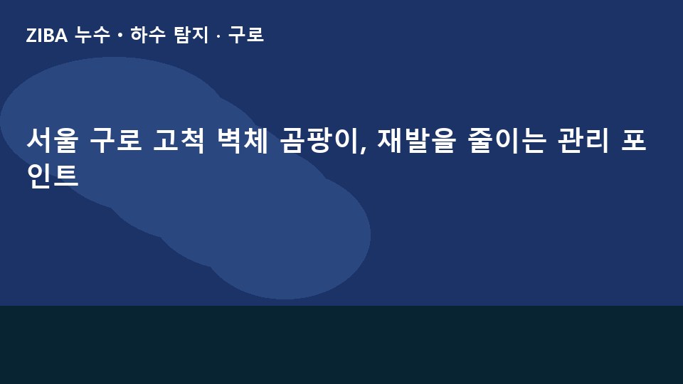 서울 구로 고척 벽체 곰팡이, 재발을 줄이는 관리 포인트