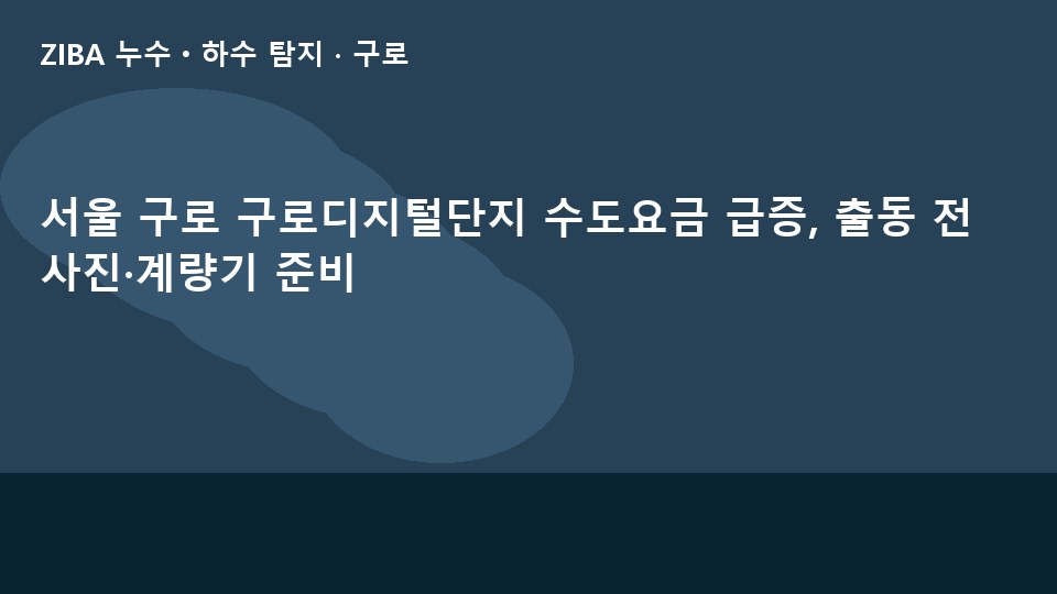 서울 구로 구로디지털단지 수도요금 급증, 출동 전 사진·계량기 준비