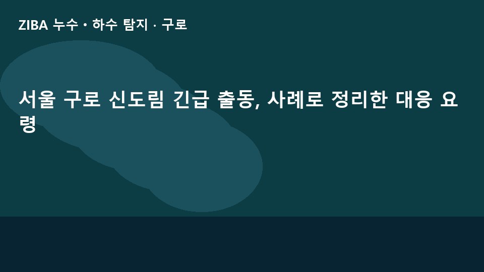 서울 구로 신도림 긴급 출동, 사례로 정리한 대응 요령