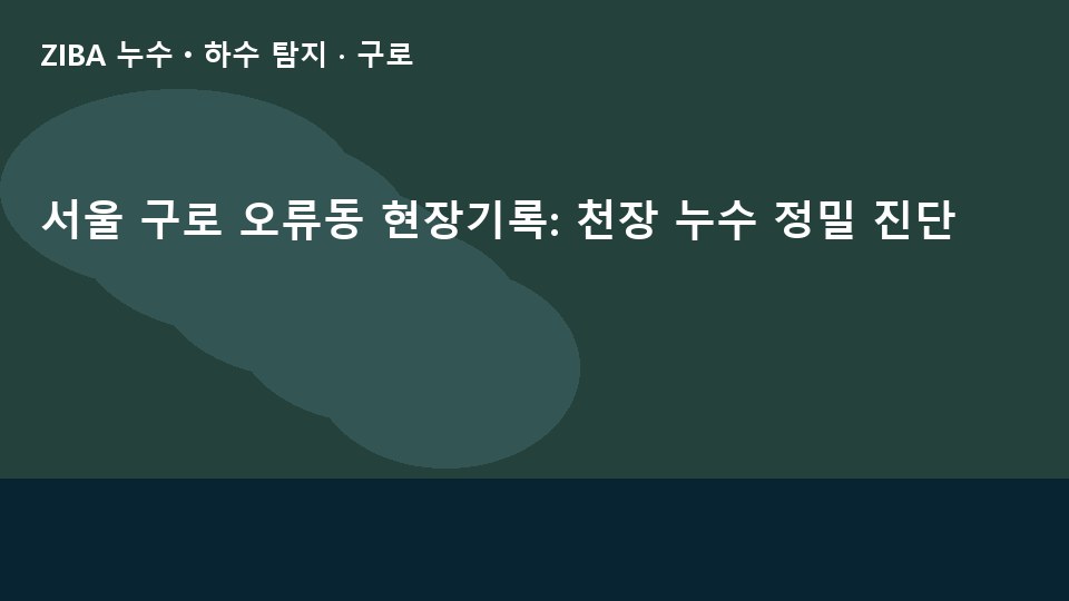 서울 구로 오류동 현장기록: 천장 누수 정밀 진단
