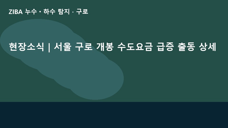 현장소식 | 서울 구로 개봉 수도요금 급증 출동 상세