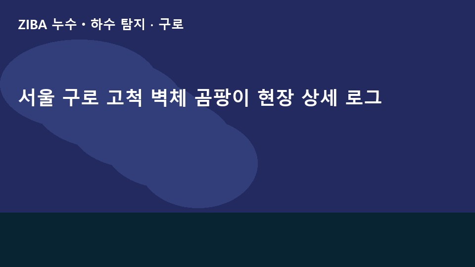 서울 구로 고척 벽체 곰팡이 현장 상세 로그