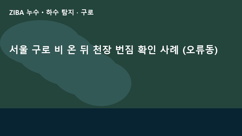 서울 구로 비 온 뒤 천장 번짐 확인 사례 (오류동)